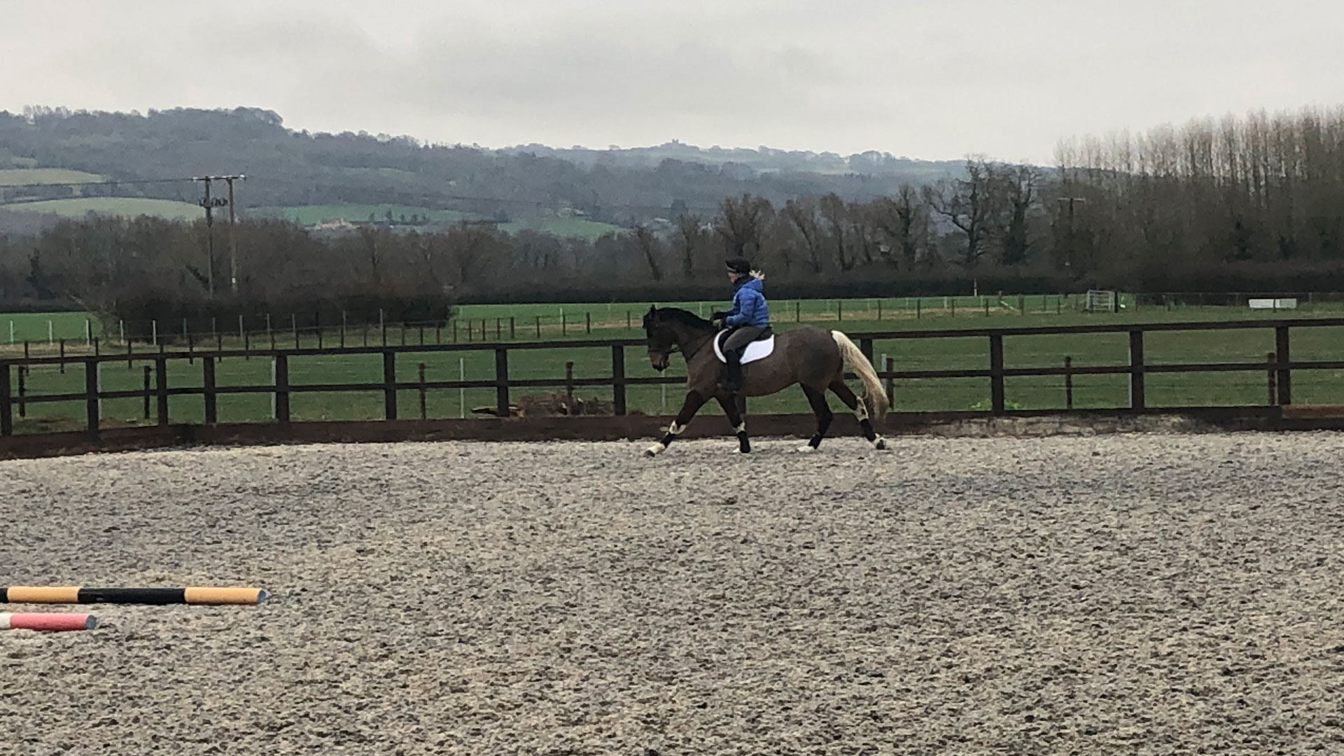 Equestrian Clinics